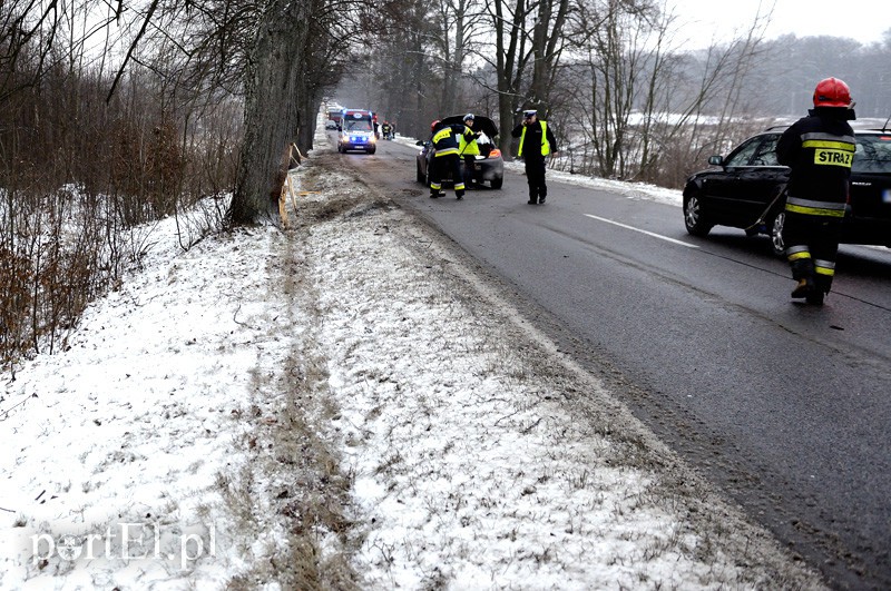 Elbląg Dąbrowa Kolonia: oplem w dwa drzewa