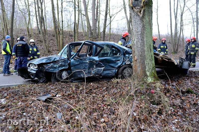 Nowe Monasterzysko: nissanem w drzewo zdjęcie nr 101078