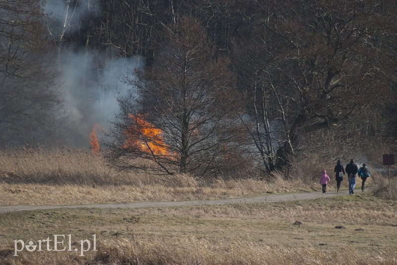 Elbląg Płonęły trawy w Kadynach