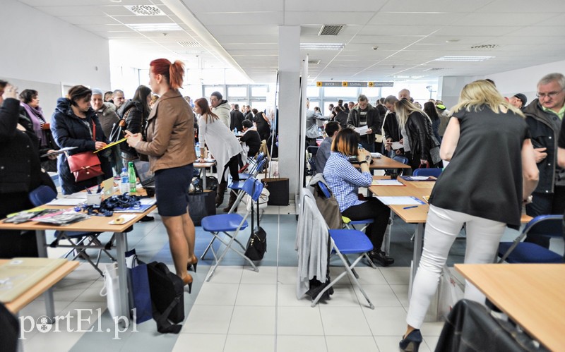 650 ofert na targach pracy zdjęcie nr 103651