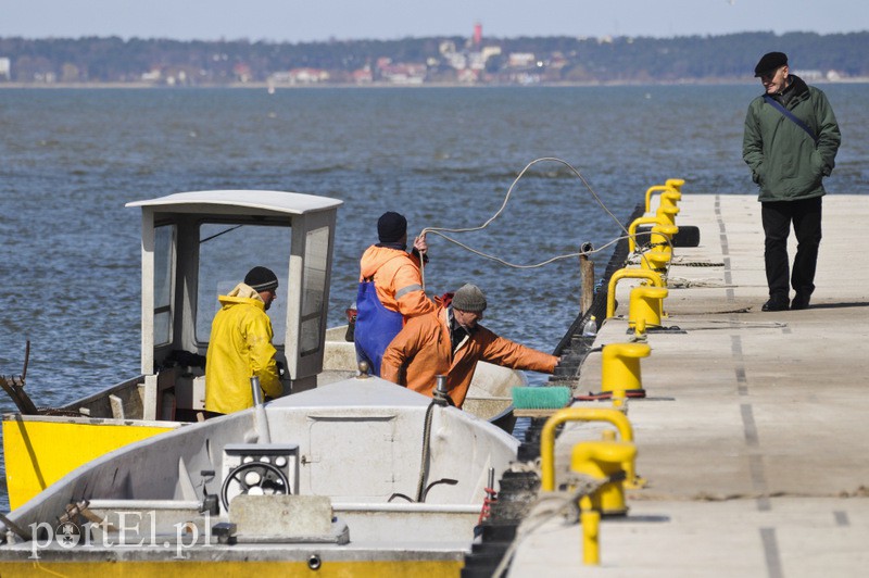 Port w Tolkmicku zdjęcie nr 103678