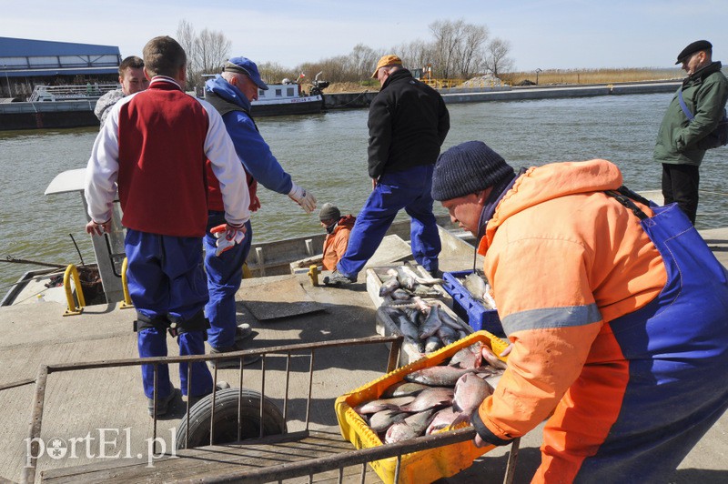 Port w Tolkmicku zdjęcie nr 103679