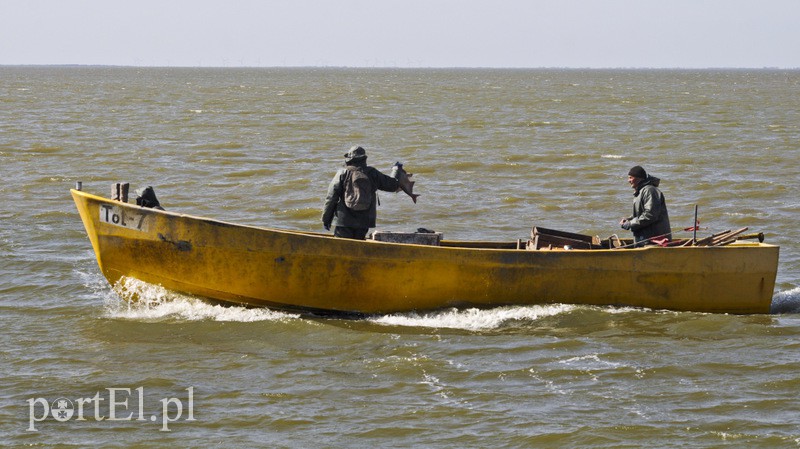 Port w Tolkmicku zdjęcie nr 103684
