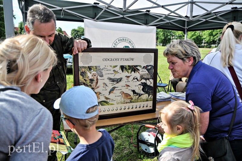 Mundurowy zawrót głowy zdjęcie nr 106793