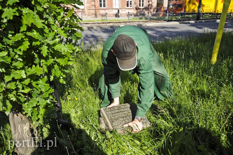 Elbląg Pomniki przesunięte, skarbów nie znaleziono