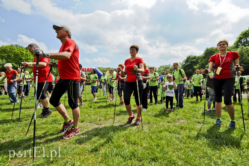  Maszerowali z kijkami aż miło zdjęcie nr 107601