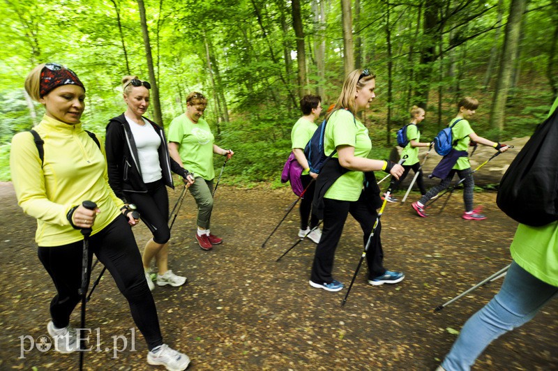  Maszerowali z kijkami aż miło zdjęcie nr 107625