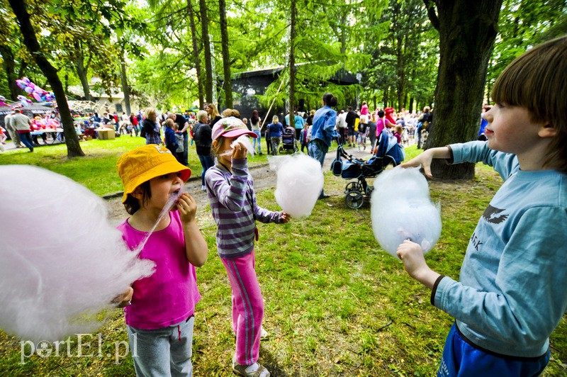Piegusowe szaleństwo w parku Modrzewie zdjęcie nr 107736
