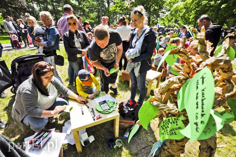 Piegusowe szaleństwo w parku Modrzewie zdjęcie nr 107711