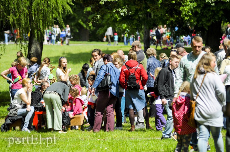 Piegusowe szaleństwo w parku Modrzewie zdjęcie nr 107709