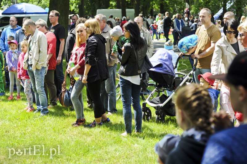 Piegusowe szaleństwo w parku Modrzewie zdjęcie nr 107707