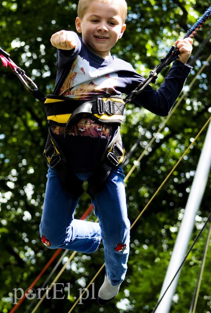 Piegusowe szaleństwo w parku Modrzewie zdjęcie nr 107747