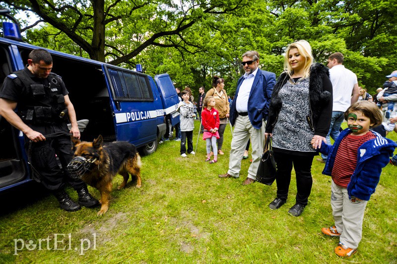 Piegusowe szaleństwo w parku Modrzewie zdjęcie nr 107739