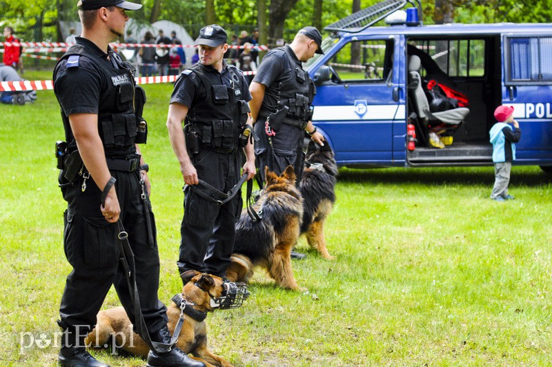 Piegusowe szaleństwo w parku Modrzewie zdjęcie nr 107706