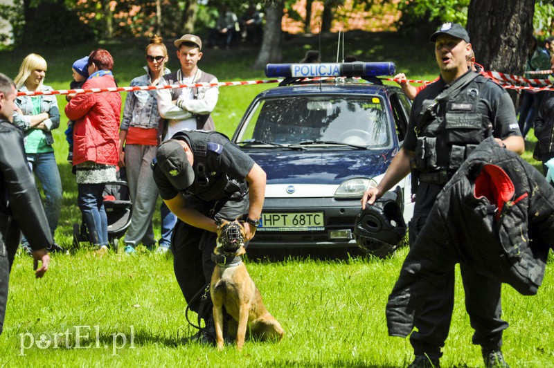 Piegusowe szaleństwo w parku Modrzewie zdjęcie nr 107725