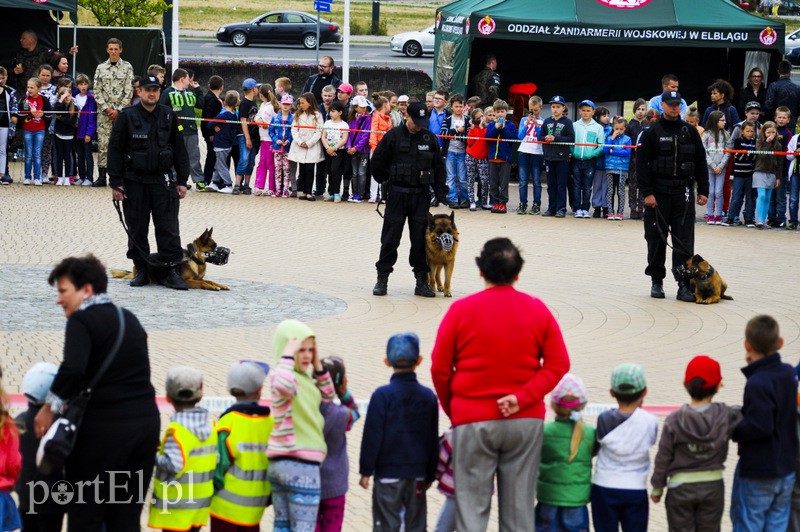  Świętowali z mieszkańcami Elbląga zdjęcie nr 108771