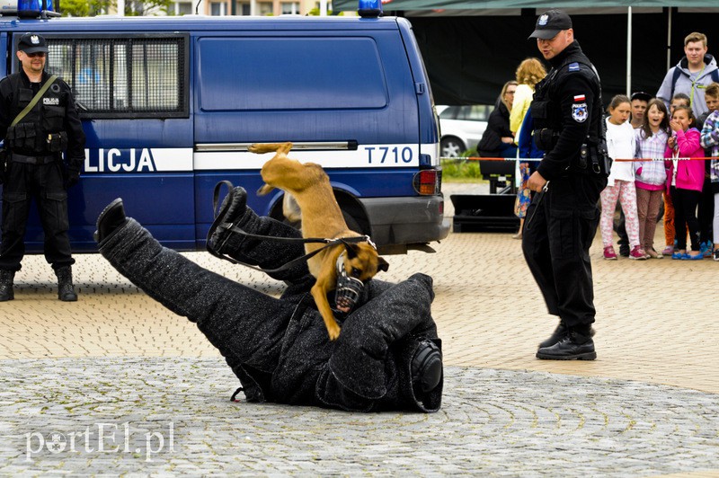  Świętowali z mieszkańcami Elbląga zdjęcie nr 108777