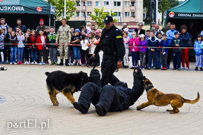  Świętowali z mieszkańcami Elbląga zdjęcie nr 108781