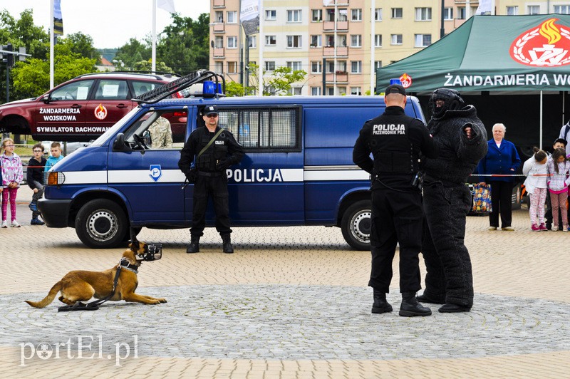 Świętowali z mieszkańcami Elbląga zdjęcie nr 108776