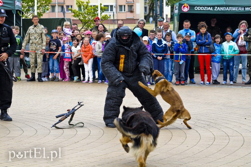  Świętowali z mieszkańcami Elbląga zdjęcie nr 108779