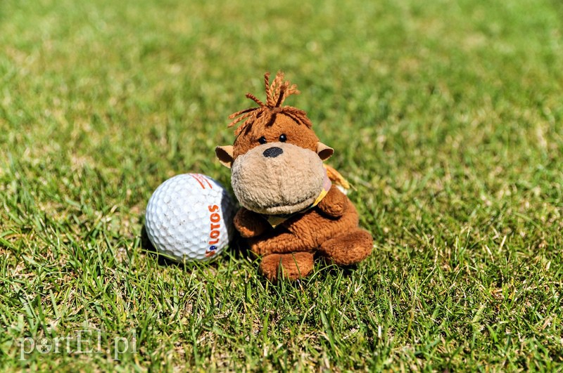 Golf dla zdrowia zdjęcie nr 109682