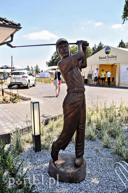 Golf dla zdrowia zdjęcie nr 109677