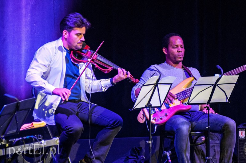  Najlepsi z najlepszych w Elblągu zdjęcie nr 111981