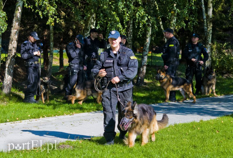 Funkcjonariusze na czterech łapach pokazali, co potrafią zdjęcie nr 114592