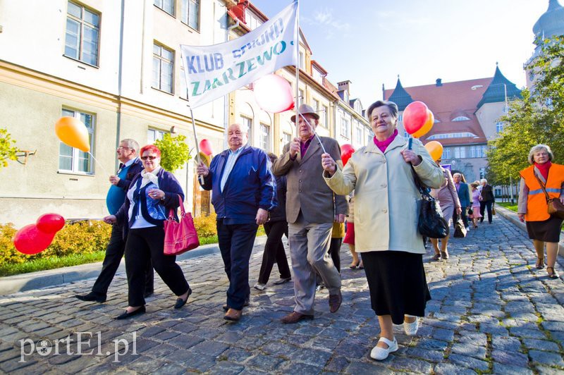 Niech szare życie odejdzie w cień! zdjęcie nr 114712