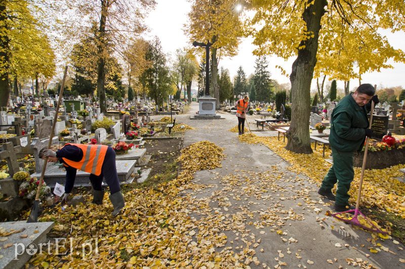 Przygotowania do Wszystkich Świętych zdjęcie nr 116295
