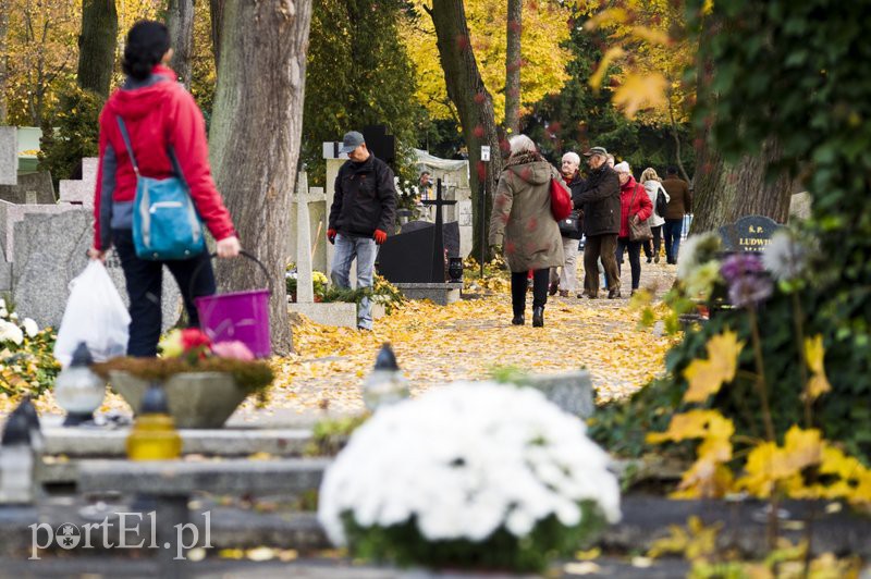 Przygotowania do Wszystkich Świętych zdjęcie nr 116304