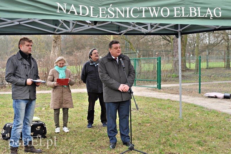Elbląg Psy będą mogły się tu wyszaleć do woli