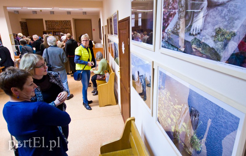  Żuławy kocham, moją małą Amerykę zdjęcie nr 118750