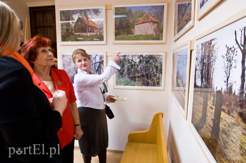  Żuławy kocham, moją małą Amerykę zdjęcie nr 118757