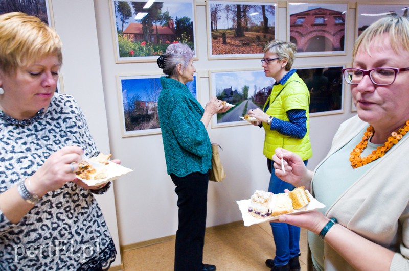  Żuławy kocham, moją małą Amerykę zdjęcie nr 118754