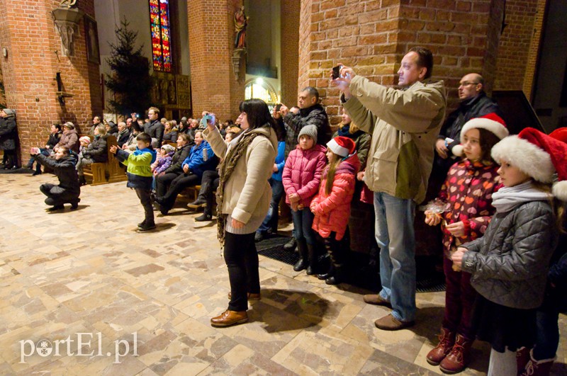  Pastorałki w katedrze zdjęcie nr 120263