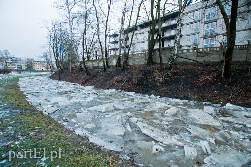  Kra zatrzymała Kumielę zdjęcie nr 121218