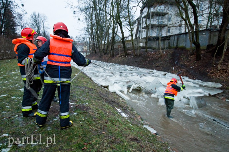  Kra zatrzymała Kumielę zdjęcie nr 121227