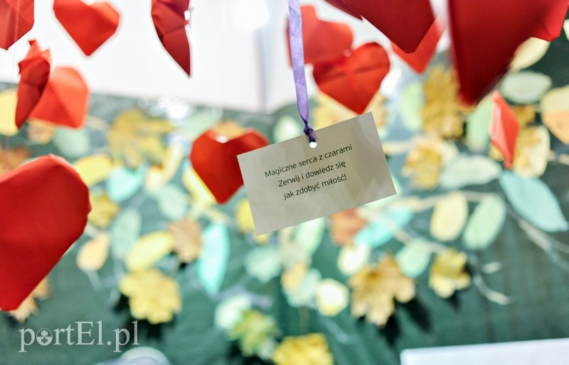 Jak elblążanie radzili sobie z miłością zdjęcie nr 122020