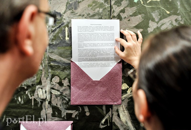 Jak elblążanie radzili sobie z miłością zdjęcie nr 122023