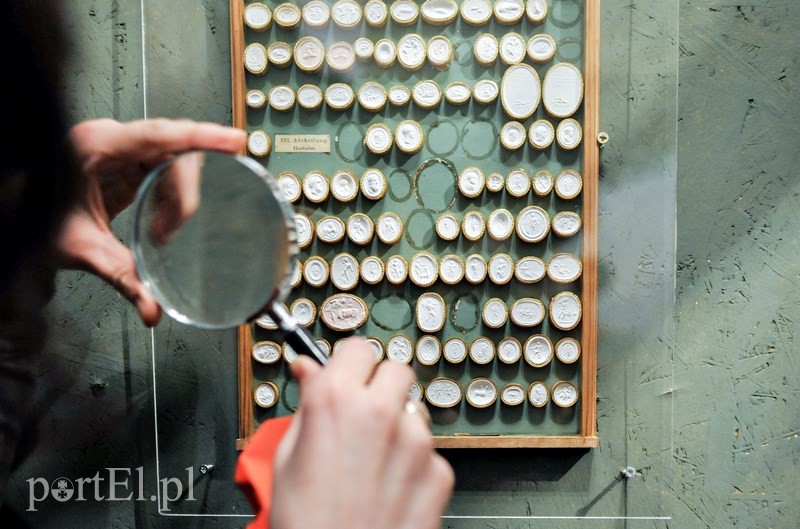 Jak elblążanie radzili sobie z miłością zdjęcie nr 122030