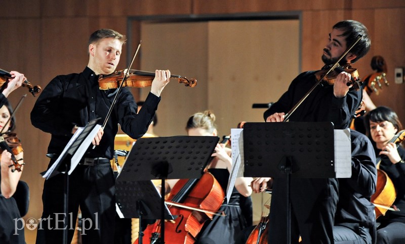Święto smyczków w Elbląskiej Orkiestrze Kameralnej zdjęcie nr 122473