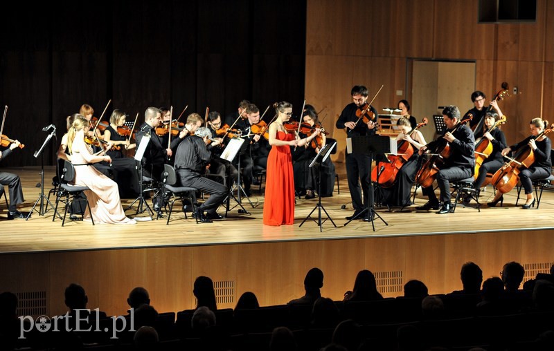 Święto smyczków w Elbląskiej Orkiestrze Kameralnej zdjęcie nr 122454
