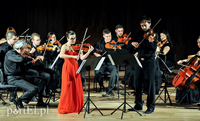 Święto smyczków w Elbląskiej Orkiestrze Kameralnej zdjęcie nr 122456