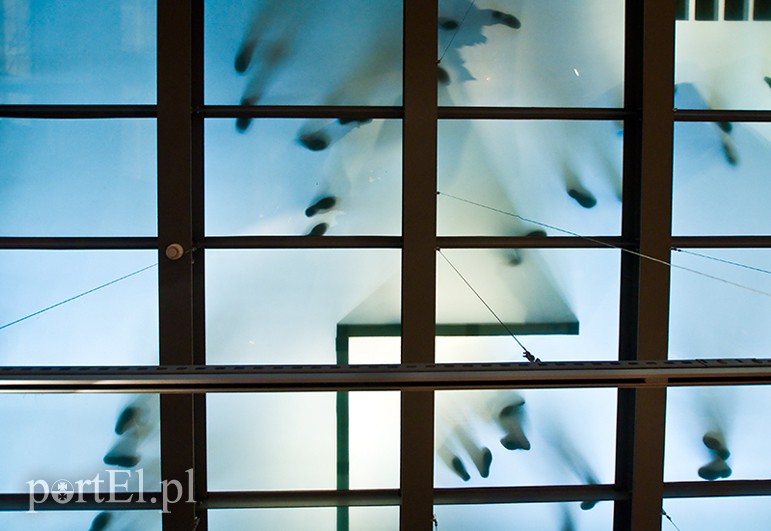 Wernisaż w Galerii El zdjęcie nr 124505