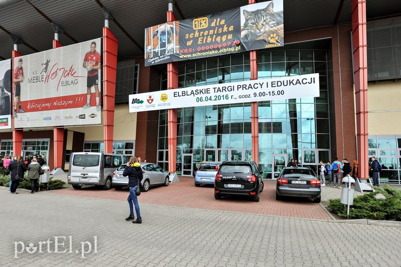 Elbląg Praca czeka na każdego?