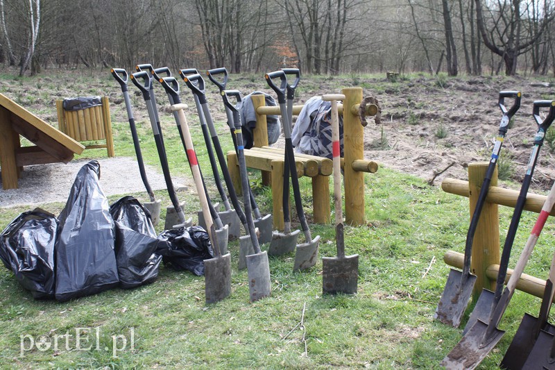 Elblążanie sadzili las zdjęcie nr 125142