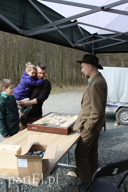 Elblążanie sadzili las zdjęcie nr 125135