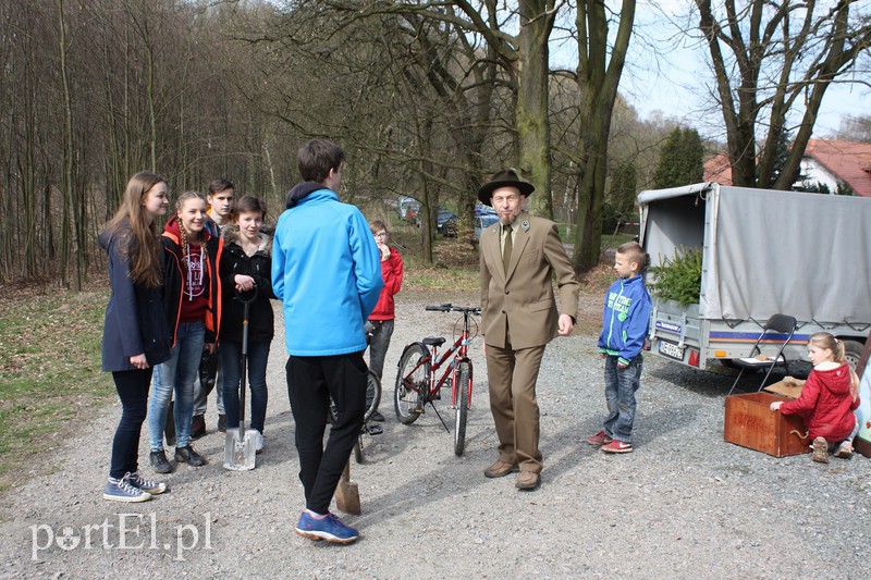 Elblążanie sadzili las zdjęcie nr 125137