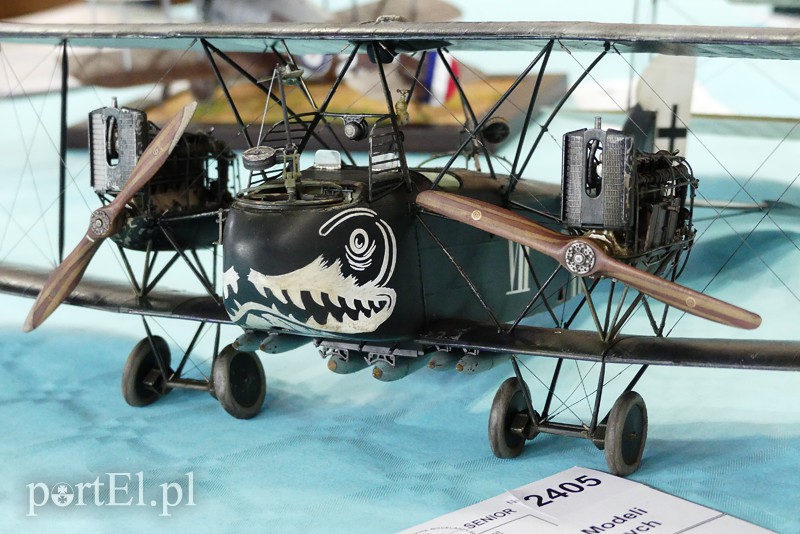 Cierpliwość nagrodzona, czyli modelarze z medalami zdjęcie nr 126246